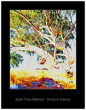Photography titled "Gum Tree Warrior" by Ladymouse, Original Artwork, Manipulated Photography