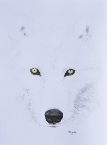 Dessin intitulée "Loup Blanc" par Laetitia Debienne, Œuvre d'art originale, Pastel Monté sur Châssis en bois