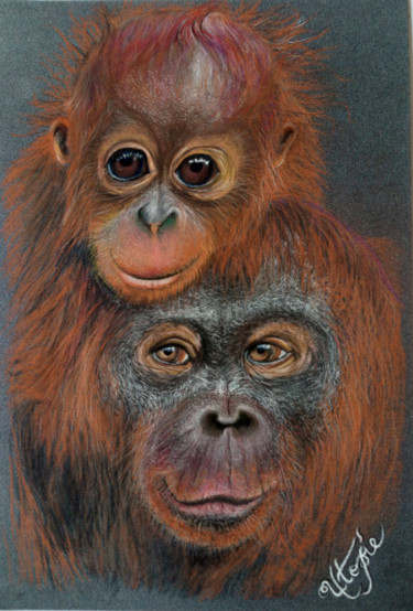 Dessin intitulée "Orang-outans" par Laetitia Debienne, Œuvre d'art originale, Pastel Monté sur Châssis en bois