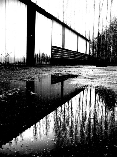 Fotografie getiteld "Sombre reflet" door Laëtitia Payet (Lëty Création), Origineel Kunstwerk, Digitale fotografie