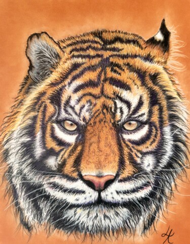 Dessin intitulée "EYES OF TIGER" par Lalyart, Œuvre d'art originale, Pastel