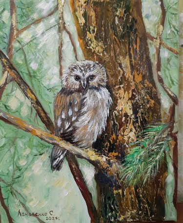 Schilderij getiteld "owl sitting on a tr…" door Svetlana Lanovenko, Origineel Kunstwerk, Olie