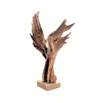 Rzeźba zatytułowany „NIKA. Wood abstract…” autorstwa Lara Shabelnik, Oryginalna praca, Drewno