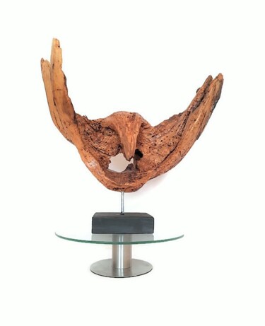 Escultura titulada "Wings. Wood sculptu…" por Lara Shabelnik, Obra de arte original, Madera