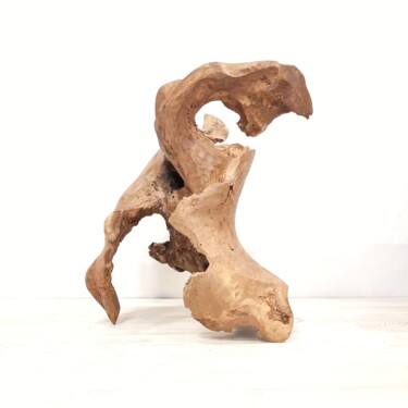 Rzeźba zatytułowany „Biomorphic sculptur…” autorstwa Lara Shabelnik, Oryginalna praca, Drewno