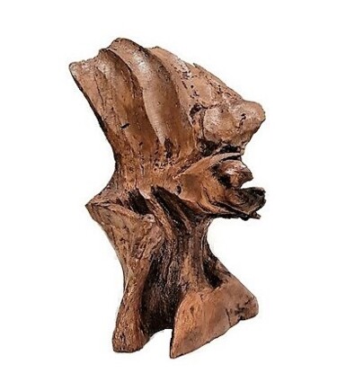 Sculptuur getiteld "Sculpture Face of t…" door Lara Shabelnik, Origineel Kunstwerk, Hout