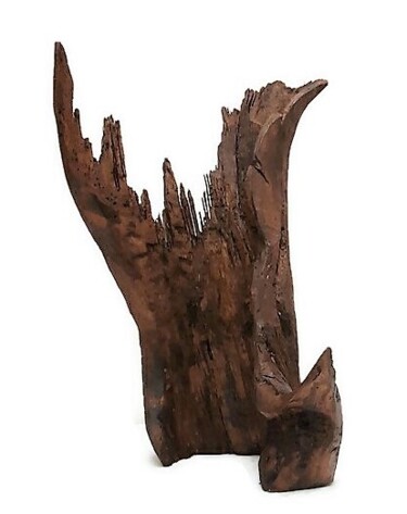 Sculpture titled "Stump. Driftwood sc…" by Lara Shabelnik, Original Artwork, Wood