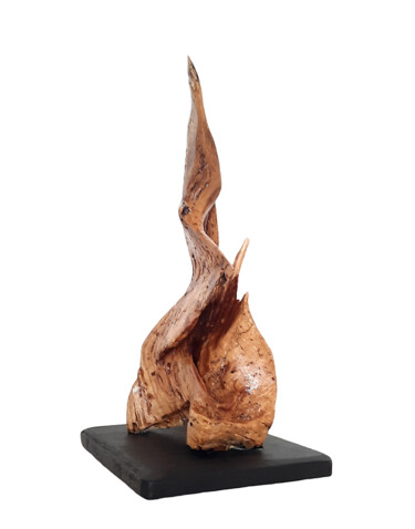 Skulptur mit dem Titel "Flame of Hope. Wood…" von Lara Shabelnik, Original-Kunstwerk, Holz