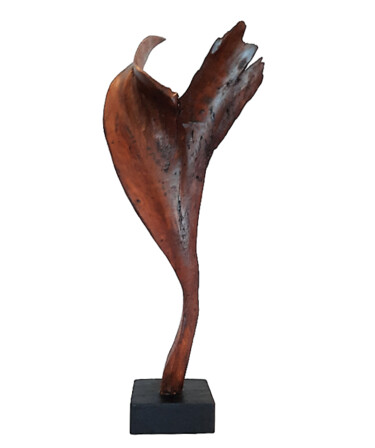 Skulptur mit dem Titel "Wind of Time. Abstr…" von Lara Shabelnik, Original-Kunstwerk, Holz