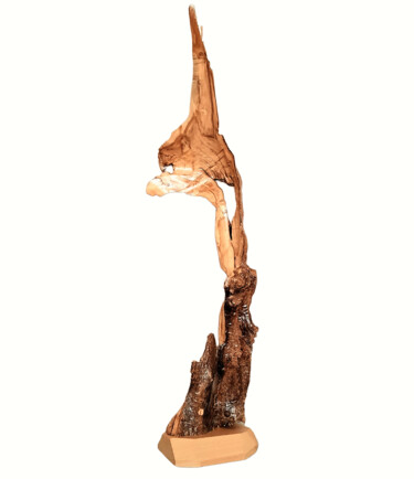 Skulptur mit dem Titel "Reflection stream" von Lara Shabelnik, Original-Kunstwerk, Holz