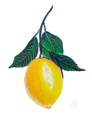 Drawing titled "Lemon twig" by Larisa Berzina, Original Artwork, Pencil