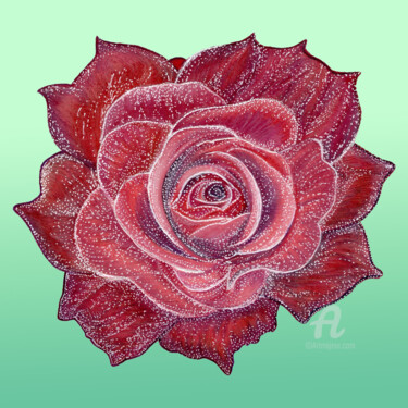 Рисунок под названием "Rose The queen of f…" - Larisa Berzina, Подлинное произведение искусства, Карандаш