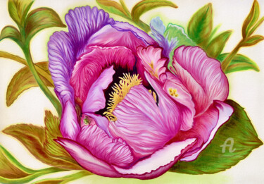 Rysunek zatytułowany „Peony in full bloom” autorstwa Larisa Berzina, Oryginalna praca, Ołówek