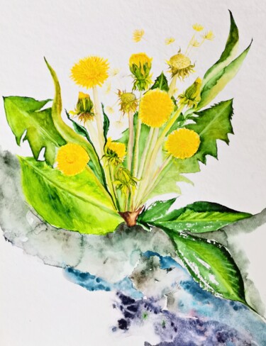 Pintura intitulada "Original Dandelion…" por Larisa Raevskaia, Obras de arte originais, Aquarela