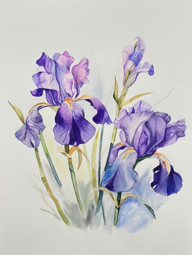 Painting titled "Irises" by Larisa Robins, Original Artwork, Watercolor
