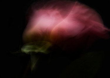 Photography titled "Roses" by Larisa Siverina, Original Artwork, Manipulated Photography