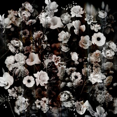 Digital Arts titled "Night dark garden" by Larisa Siverina, Original Artwork, Digital Collage