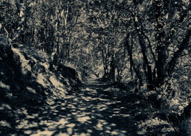 Photography titled "Shadows road" by Larisa Siverina, Original Artwork, Non Manipulated Photography