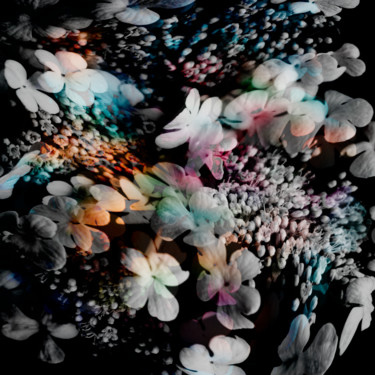 Digital Arts titled "Blossom #15" by Larisa Siverina, Original Artwork, Digital Collage