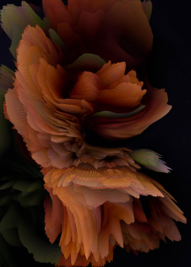 "Abstrat ranunculus…" başlıklı Dijital Sanat Larisa Siverina tarafından, Orijinal sanat, Dijital Resim