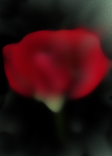 Digitale Kunst mit dem Titel "Red rose" von Larisa Siverina, Original-Kunstwerk, Manipulierte Fotografie