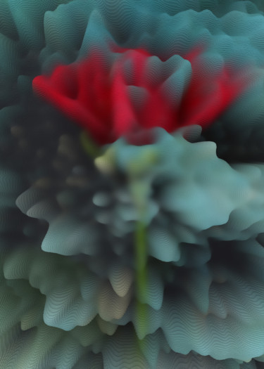 Photographie intitulée "Red soft rose" par Larisa Siverina, Œuvre d'art originale, Photographie manipulée