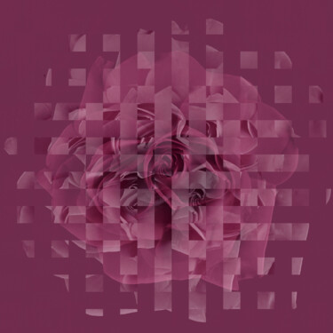Цифровое искусство под названием "Pink rose squares" - Larisa Siverina, Подлинное произведение искусства, Цифровой коллаж