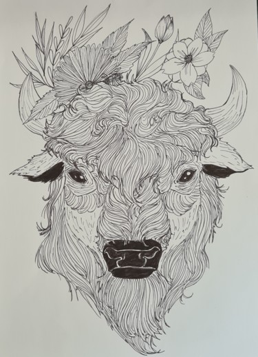 Drawing titled "Bison" by Larissa Pi, Original Artwork, Pencil
