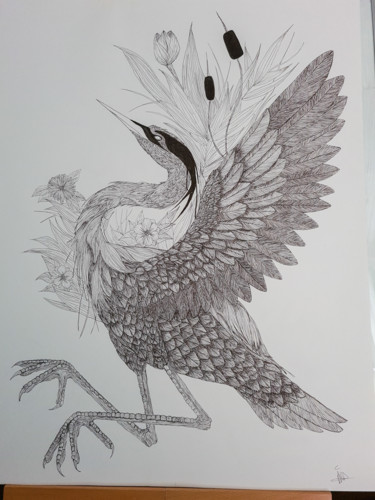 Drawing titled "Heron" by Larissa Pi, Original Artwork, Pencil