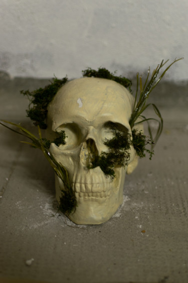 Sculpture intitulée "Crâne Végétale" par Benjamin Larroche, Œuvre d'art originale, Plâtre