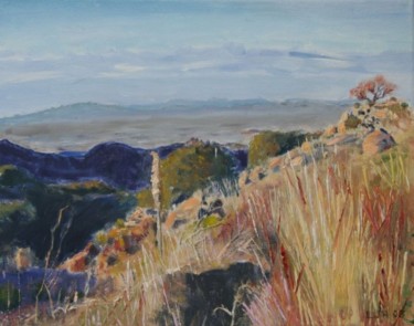 Painting titled "Kitt Peak View" by Herscovitch Larry, Original Artwork, Oil