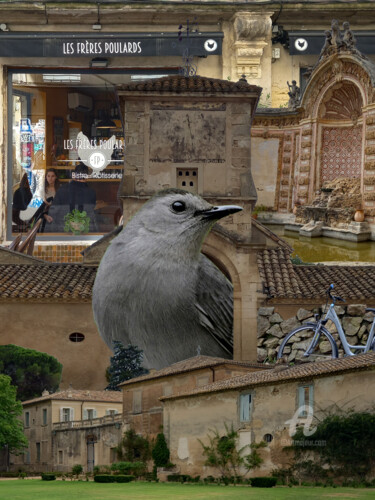 Collages intitolato "LE COLOMBIER DE LA…" da Manu Vielles, Opera d'arte originale, Collages Montato su Cartone