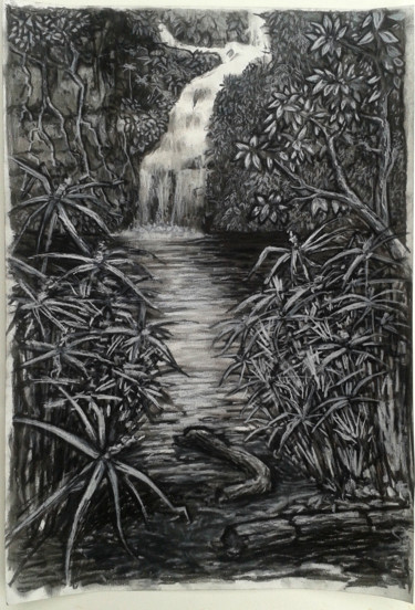 Σχέδιο με τίτλο "Bassin Cormoran" από Jean-François Hirsch, Αυθεντικά έργα τέχνης, Κάρβουνο