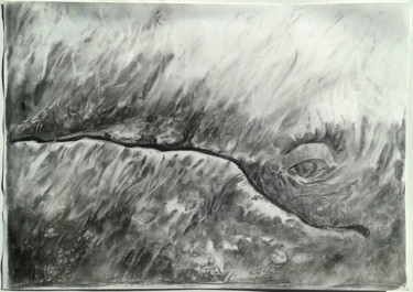 Disegno intitolato "regard de baleine 2" da Jean-François Hirsch, Opera d'arte originale, Carbone