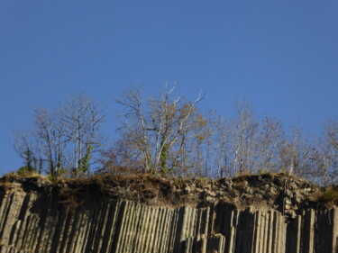 Photography titled "Les arbres sur les…" by Laure Barlet, Original Artwork