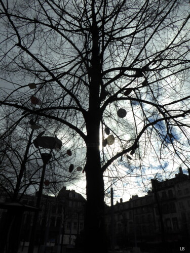 Photographie intitulée "L'arbre de la cathé…" par Laure Barlet, Œuvre d'art originale