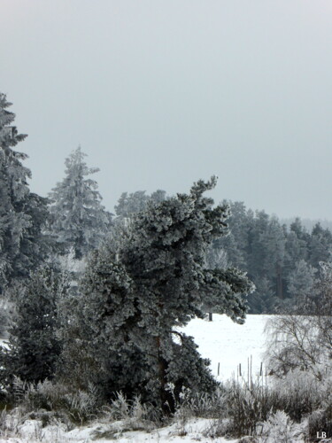 Photographie intitulée "Sous la neige" par Laure Barlet, Œuvre d'art originale, Photographie numérique