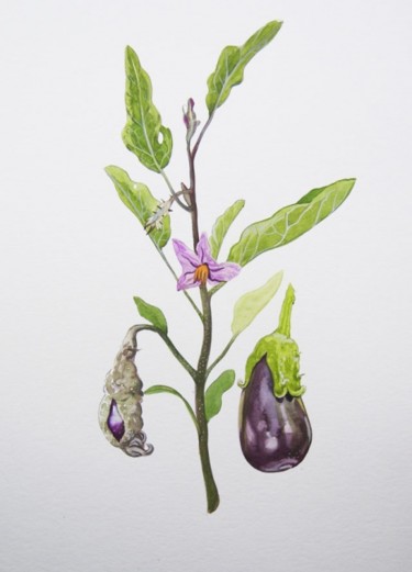 Painting titled "planche d'aubergine" by Laure Boin Watorek, Original Artwork