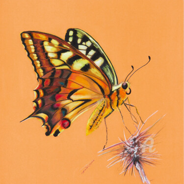 Malerei mit dem Titel "Papillon Ocre" von Laure Devy, Original-Kunstwerk, Pastell