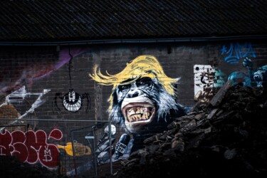 Photographie intitulée "Monkey Trump" par Laure Vignaux, Œuvre d'art originale, Photographie numérique
