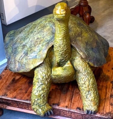 Sculpture titled "Tortue du Galapagos" by Laurence Friche, Original Artwork, Bronze