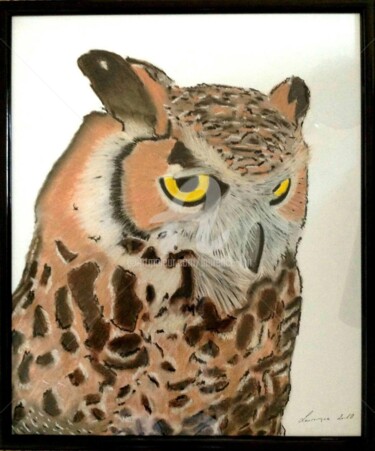 Drawing titled "LE HIBOU" by Laurence Lbn, Original Artwork, Chalk Mounted on Wood Panel