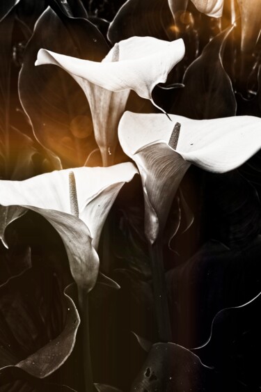 Photography titled "Arum" by Laurence Masson, Original Artwork, Digital Photography