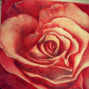 Dibujo titulada "Love rose" por Laurence Keriguy, Obra de arte original, Lápiz