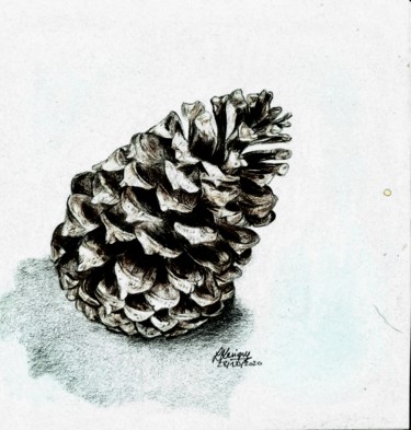 Drawing titled "Pomme de pin" by Laurence Keriguy, Original Artwork, Pencil