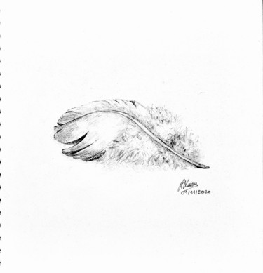 Dessin intitulée "Plume" par Laurence Keriguy, Œuvre d'art originale, Crayon