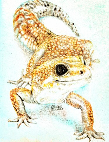"Gecko" başlıklı Resim Laurence Keriguy tarafından, Orijinal sanat, Kalem