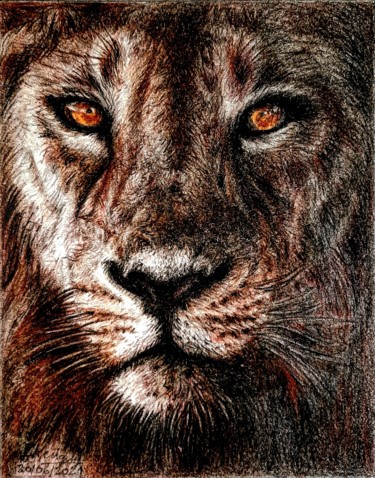 Dessin intitulée "Lion" par Laurence Keriguy, Œuvre d'art originale, Crayon