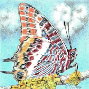 Drawing titled "Papillon" by Laurence Keriguy, Original Artwork, Pencil