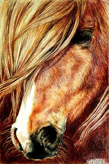 Рисунок под названием "Tête de cheval" - Laurence Keriguy, Подлинное произведение искусства, Карандаш